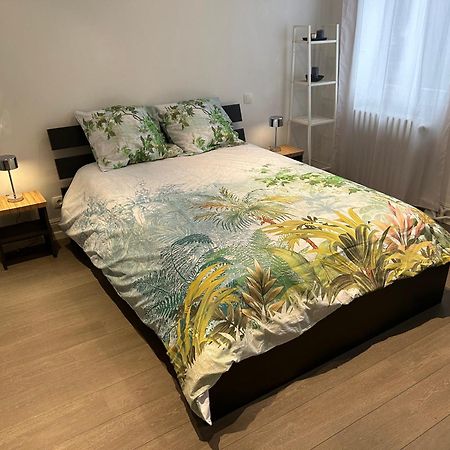 Salutho Hotel Sélestat Екстериор снимка