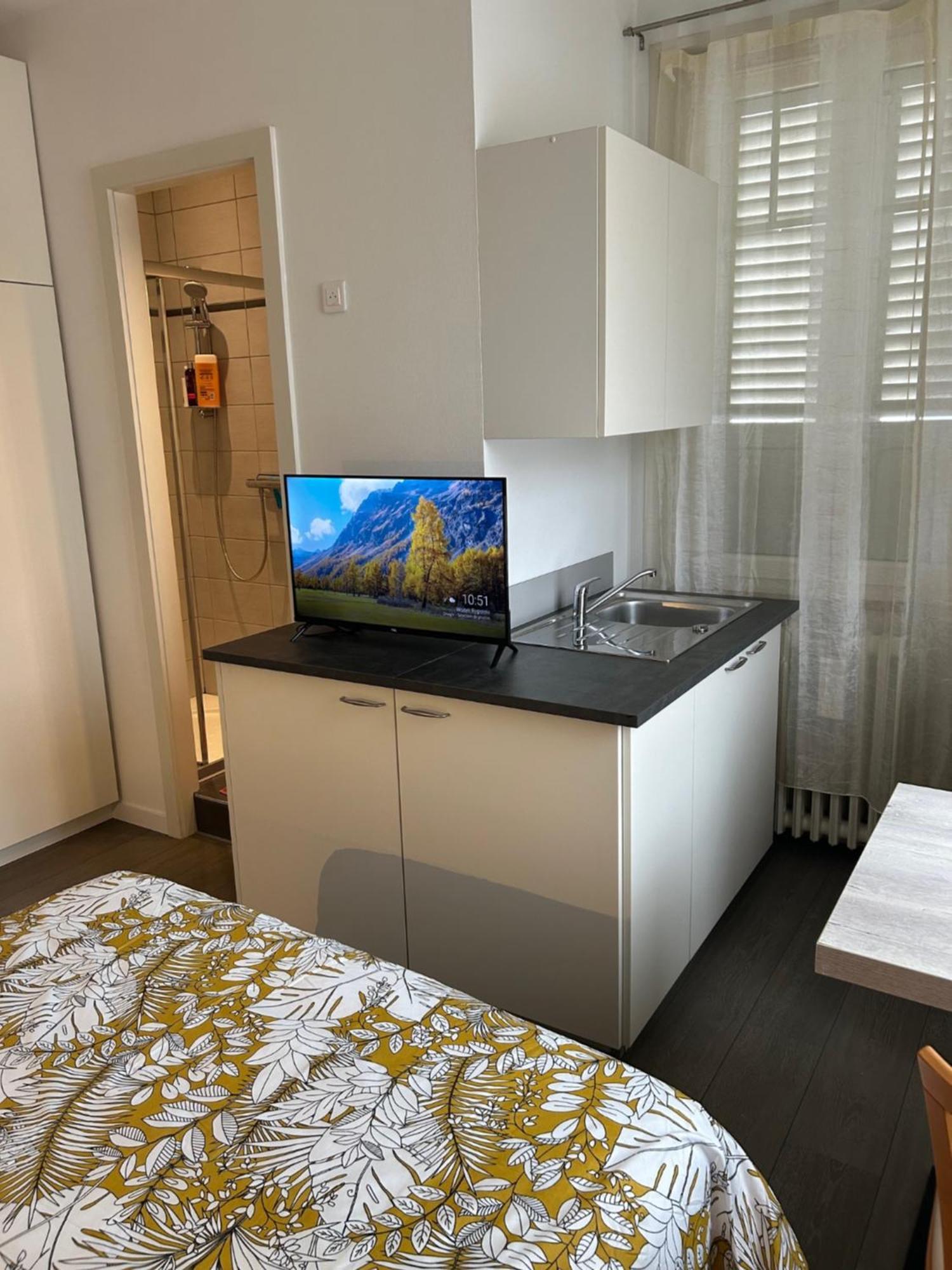 Salutho Hotel Sélestat Екстериор снимка